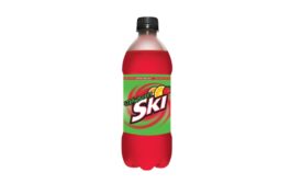 Strawberry SKI 2016