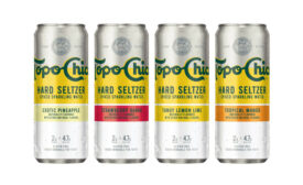 Topo Chico Hard Seltzer