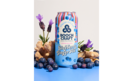 Boochcraft_BlueberryGingerAle.png