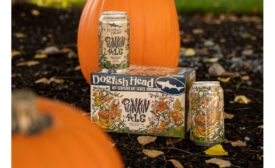 Dogfish_PunkinAleCans_900.jpg