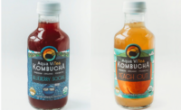 Aqua ViTea Kombucha