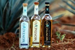 Montalvo Tequila