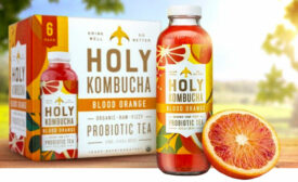 Holy Kombucha