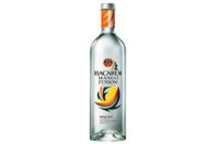 Bacardi Mango Fusion