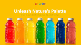 EXBERRY®’s Plant-Based Shades