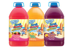 Hawaiian Punch group