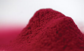 Artemis International Elderberry Powdered Extract - Beverage Industry