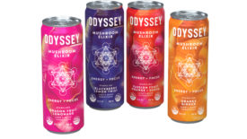Odyssey Mushroom Elixir flavors